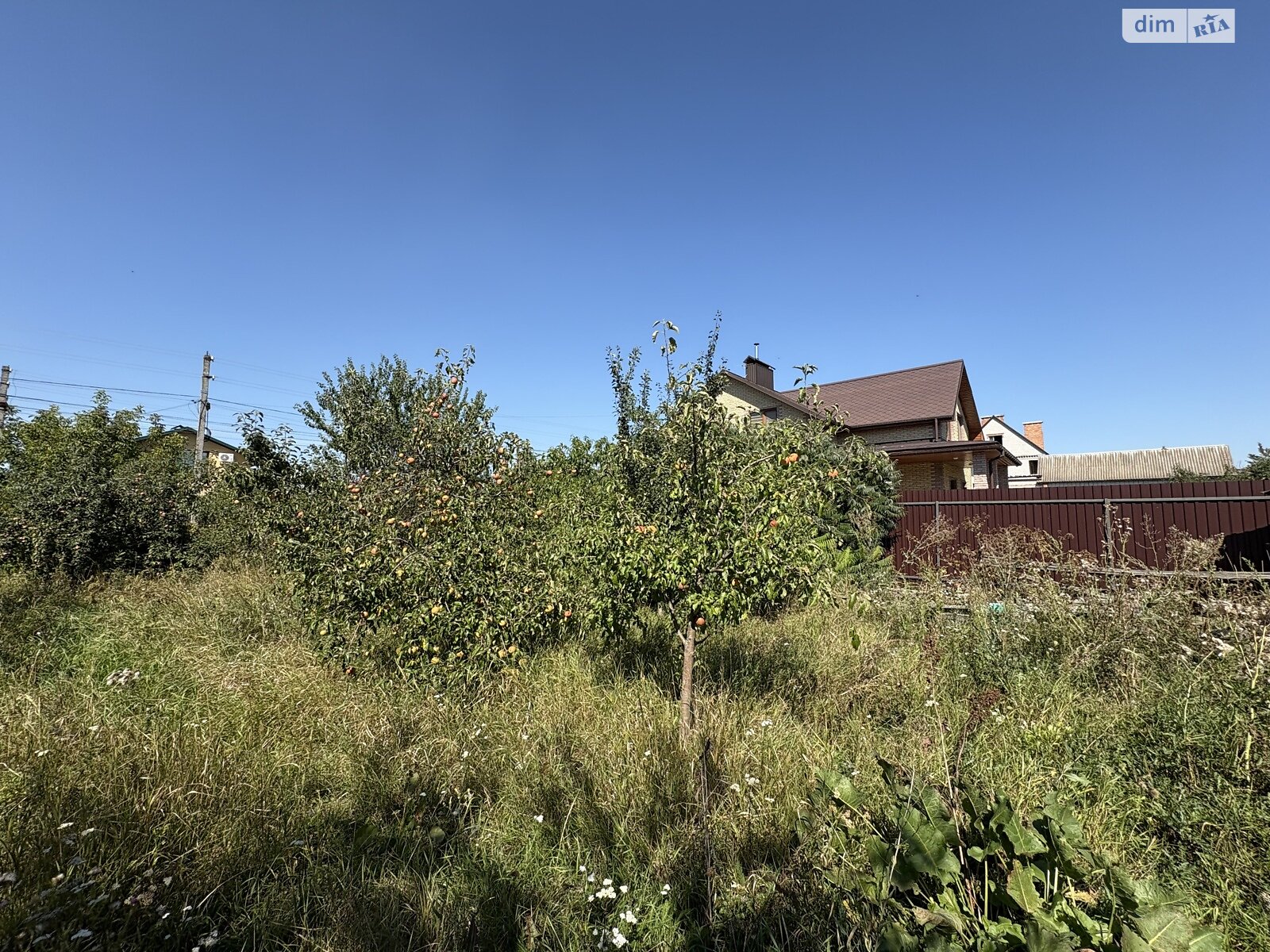 Земля сільськогосподарського призначення в Стрижавці, площа 10 соток фото 1