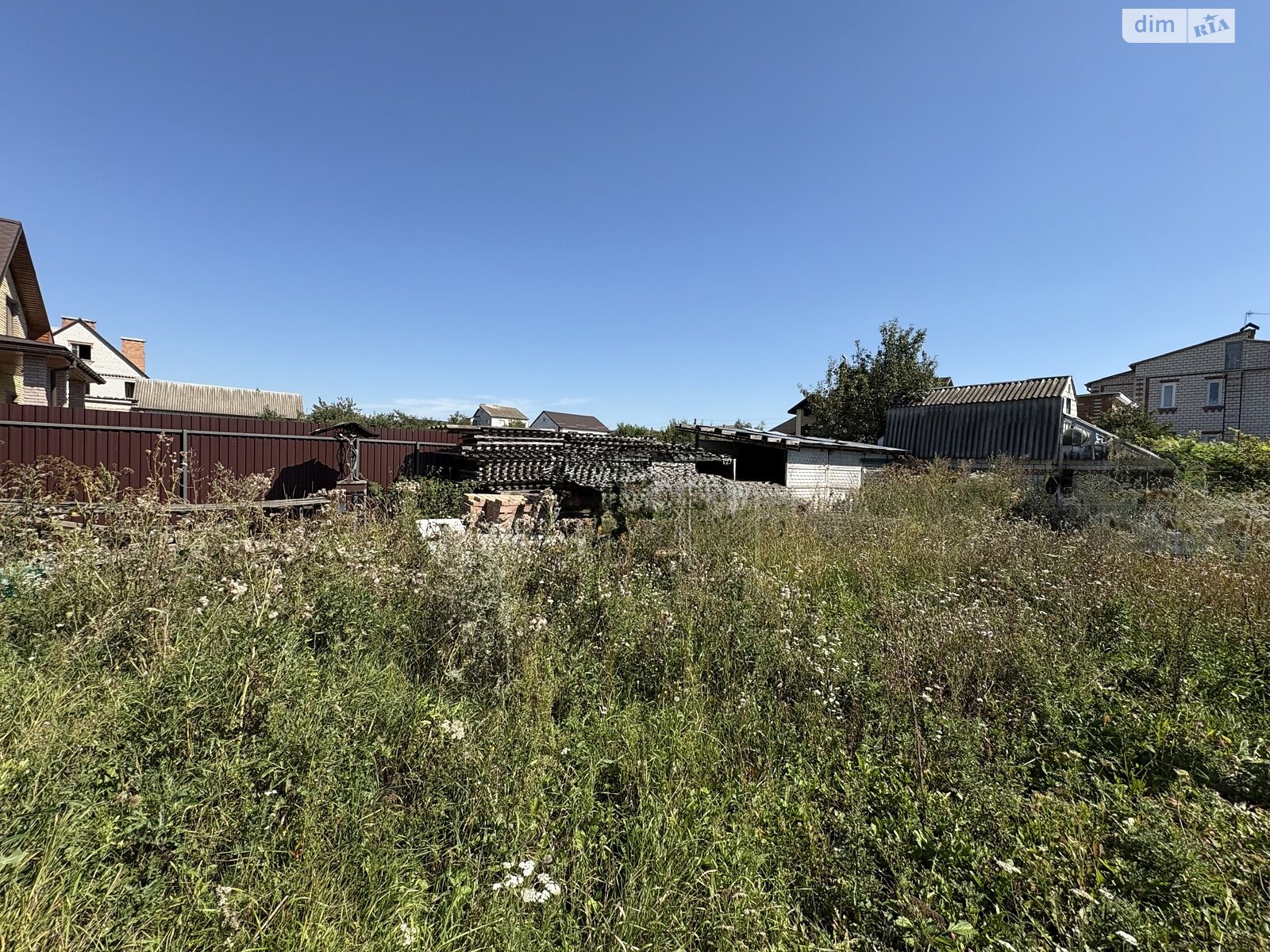 Земля сільськогосподарського призначення в Стрижавці, площа 10 соток фото 1