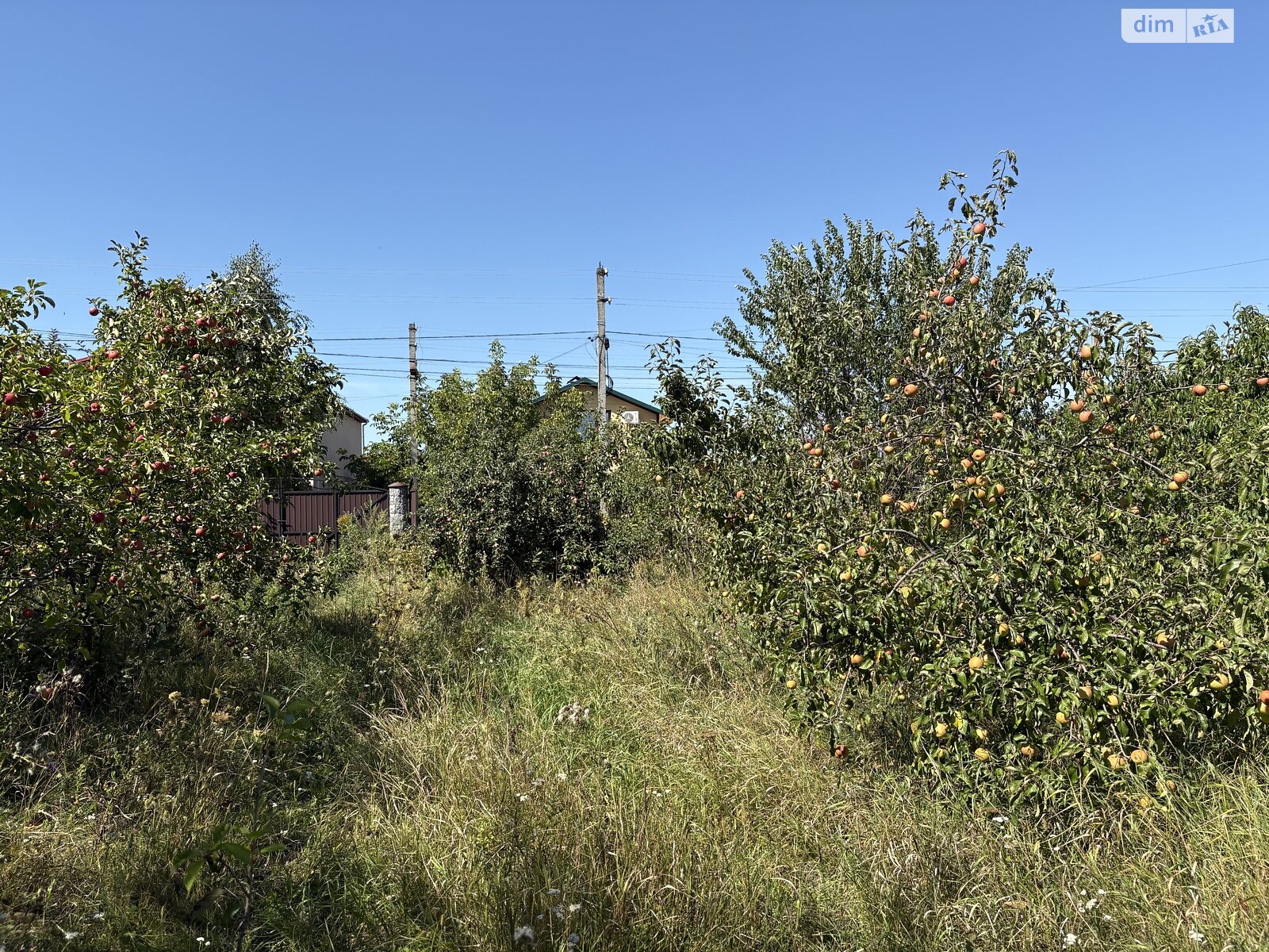 Земля сільськогосподарського призначення в Стрижавці, площа 10 соток фото 1