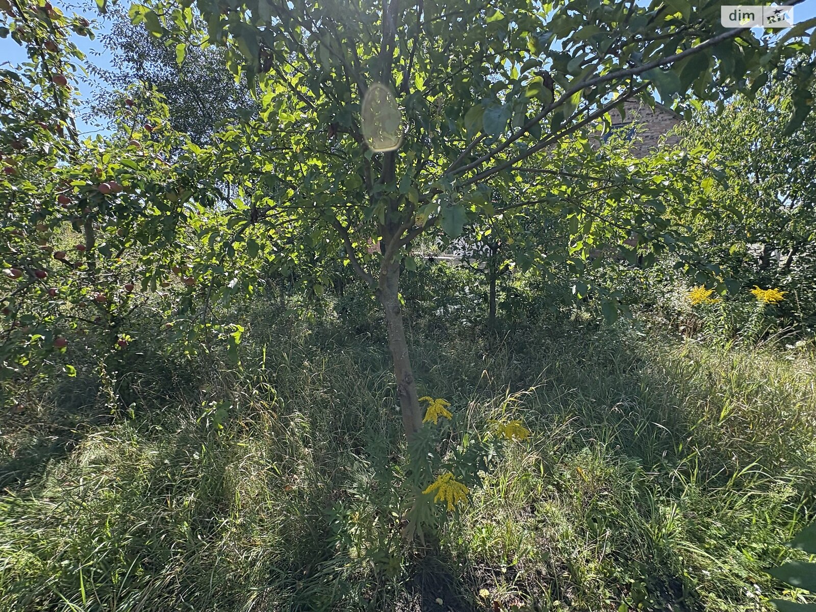 Земля сільськогосподарського призначення в Стрижавці, площа 10 соток фото 1