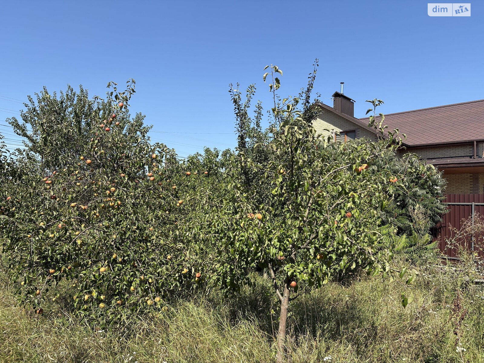 Земля сільськогосподарського призначення в Стрижавці, площа 10 соток фото 1