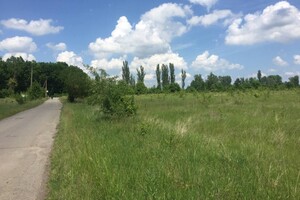 Земельна ділянка сільськогосподарського призначення в Стрижавці, площа 8 соток фото 2