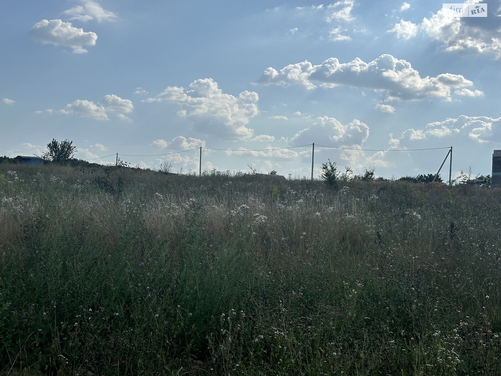 Земельна ділянка сільськогосподарського призначення в Стрижавці, площа 6 соток фото 1