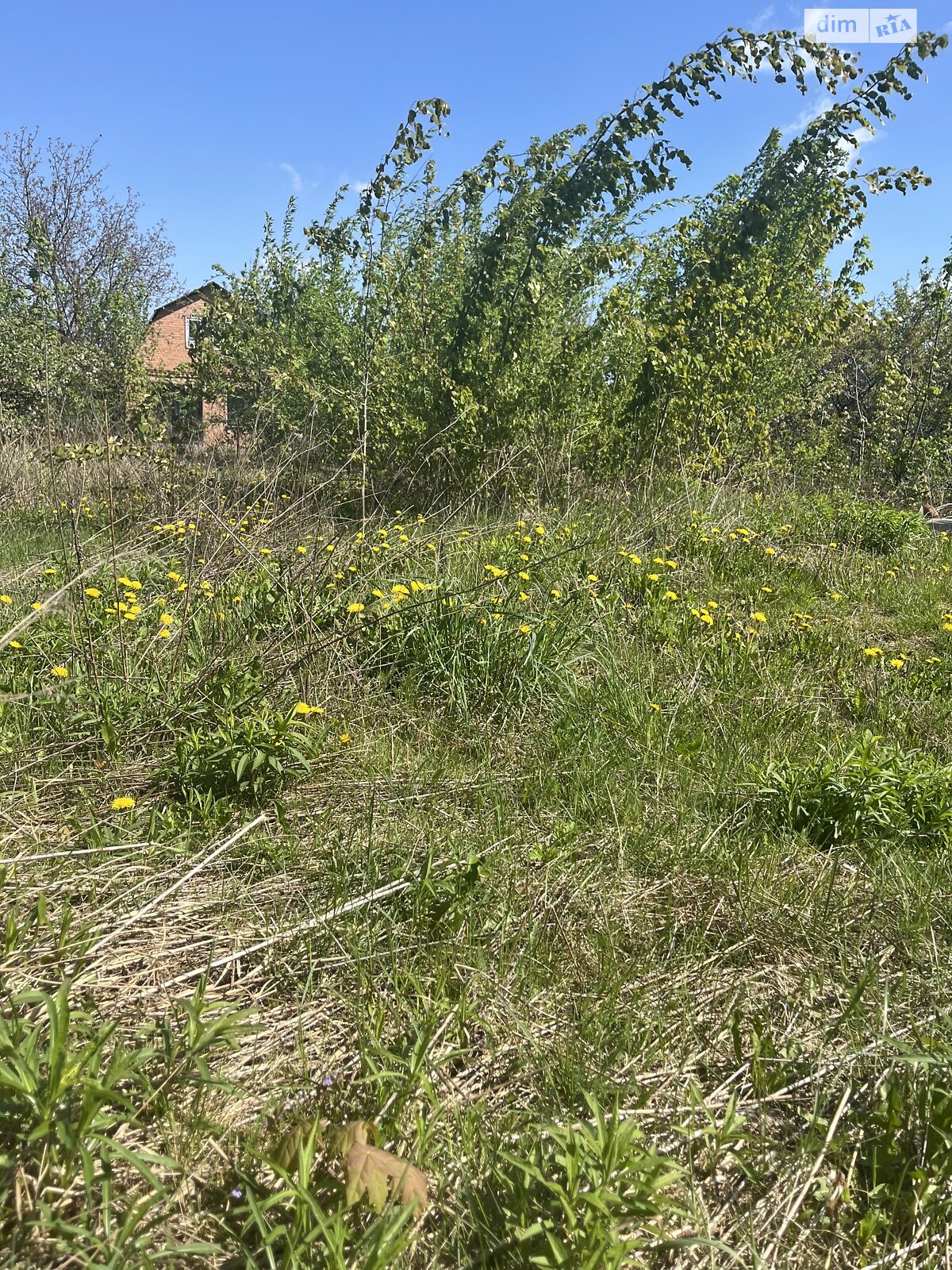 Земельна ділянка сільськогосподарського призначення в Стрижавці, площа 4 сотки фото 1 Земельна ділянка сільськогосподарського призначення в Стрижавці, площа 4 сотки фото 1