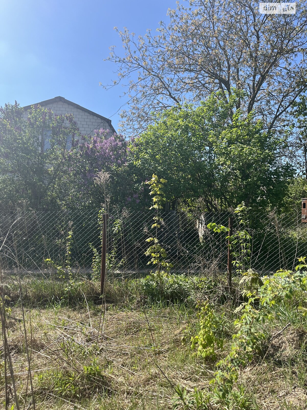 Земельна ділянка сільськогосподарського призначення в Стрижавці, площа 4 сотки фото 1 Земельна ділянка сільськогосподарського призначення в Стрижавці, площа 4 сотки фото 1