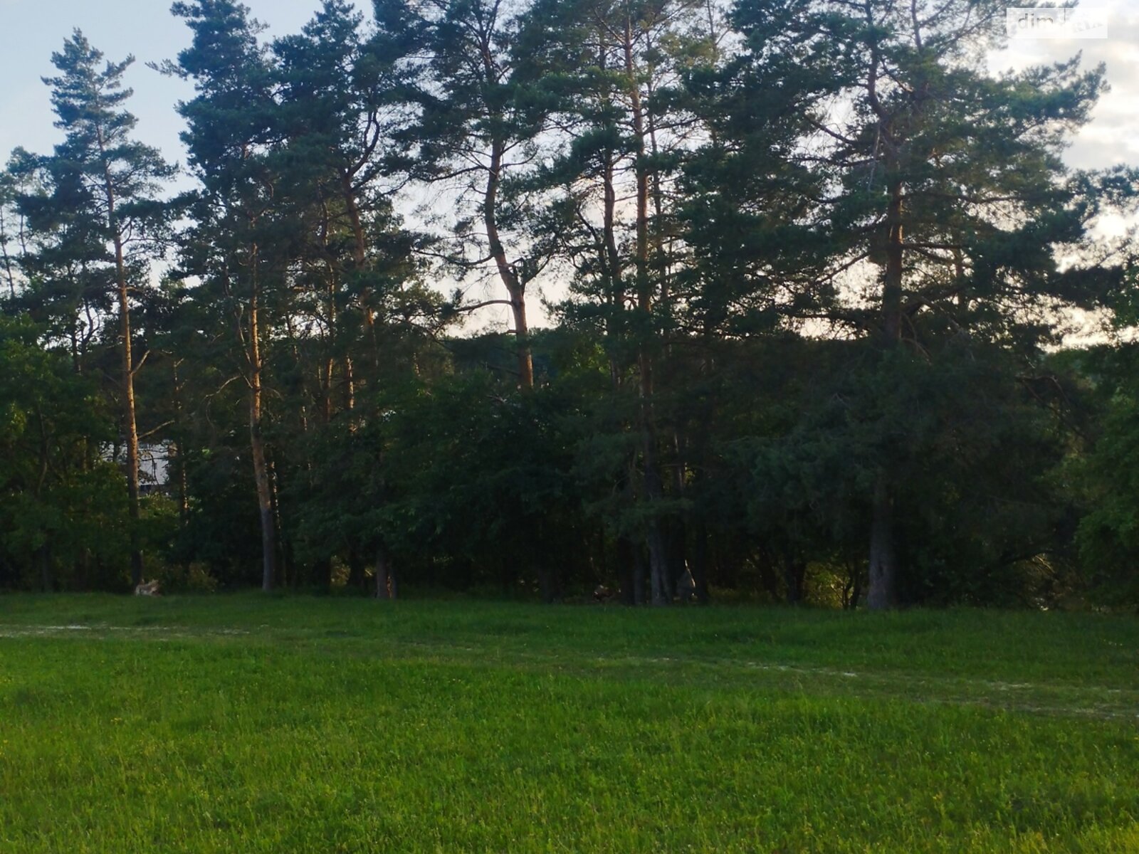 Земельна ділянка сільськогосподарського призначення в Стрижавці, площа 9 соток фото 1 Земельна ділянка сільськогосподарського призначення в Стрижавці, площа 9 соток фото 1
