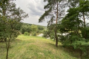 Земельна ділянка сільськогосподарського призначення в Стрижавці, площа 10 соток фото 2