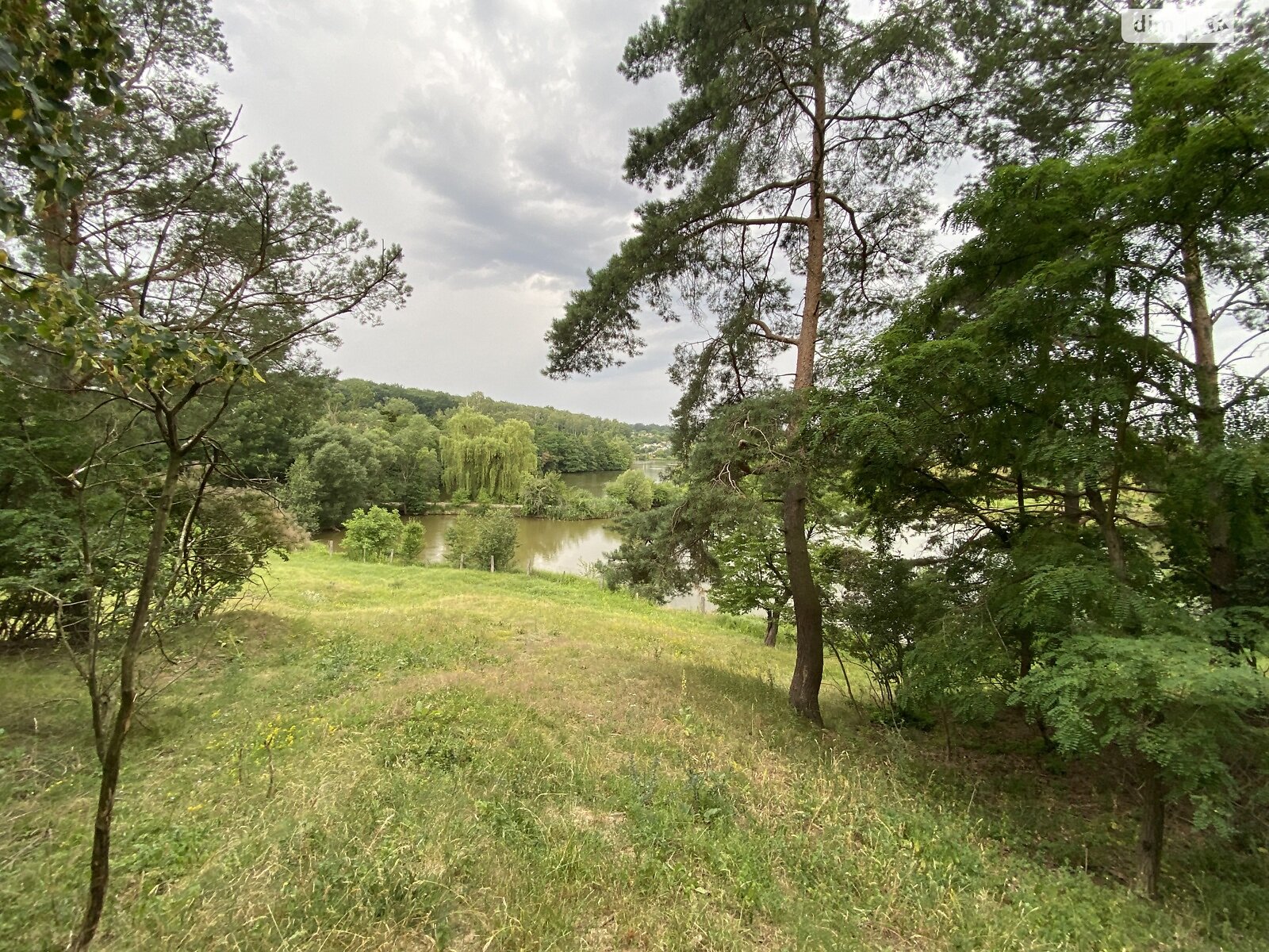 Земельна ділянка сільськогосподарського призначення в Стрижавці, площа 10 соток фото 1