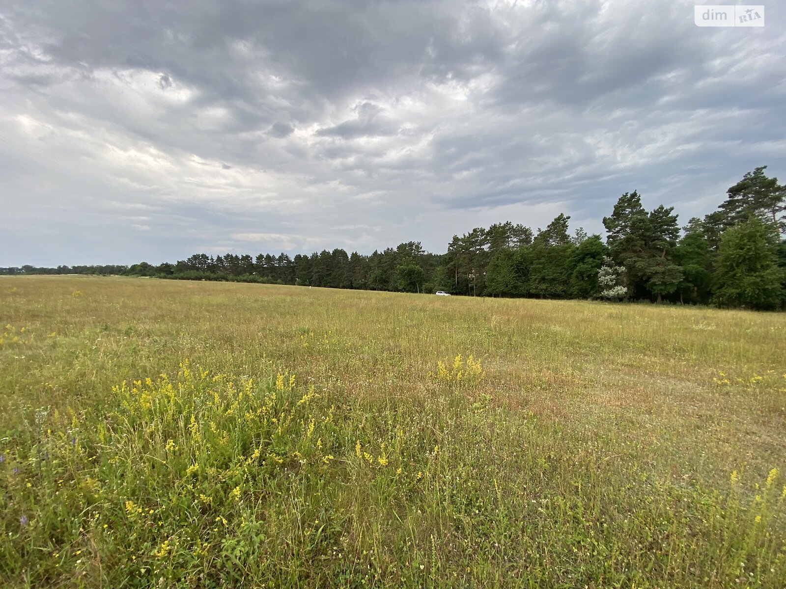 Земельна ділянка сільськогосподарського призначення в Стрижавці, площа 10 соток фото 1