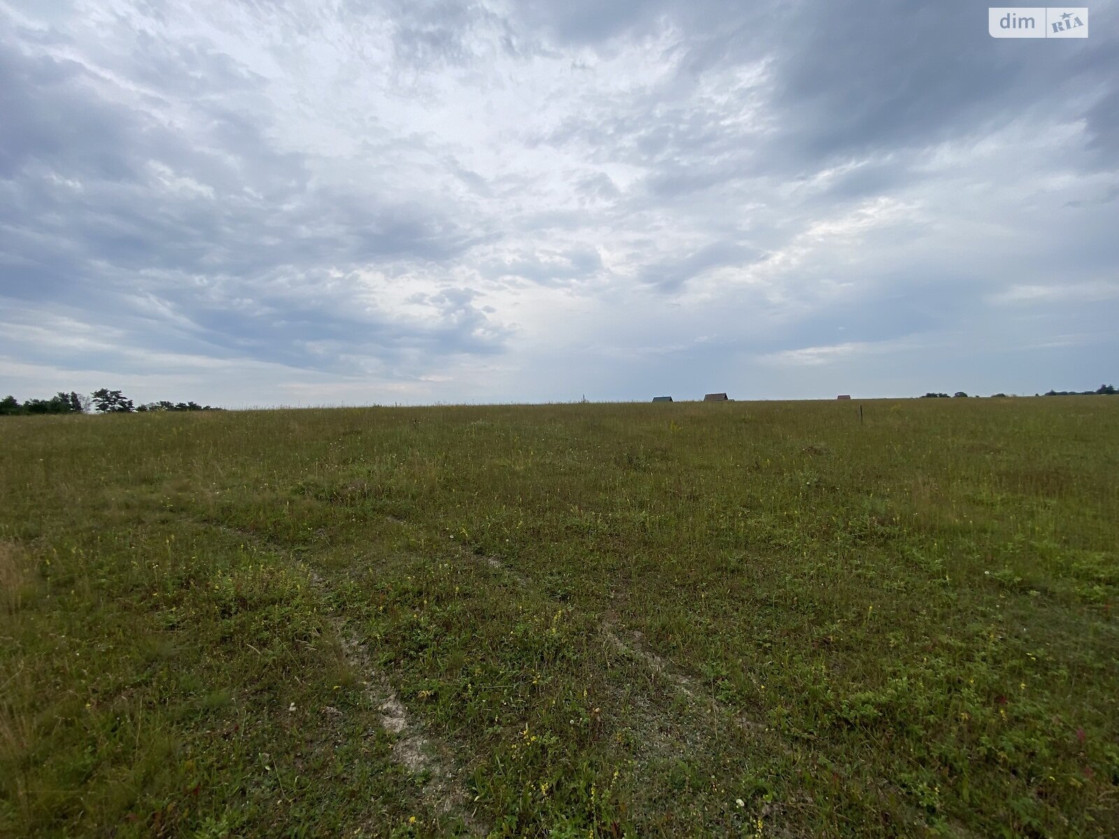Земельна ділянка сільськогосподарського призначення в Стрижавці, площа 10 соток фото 1