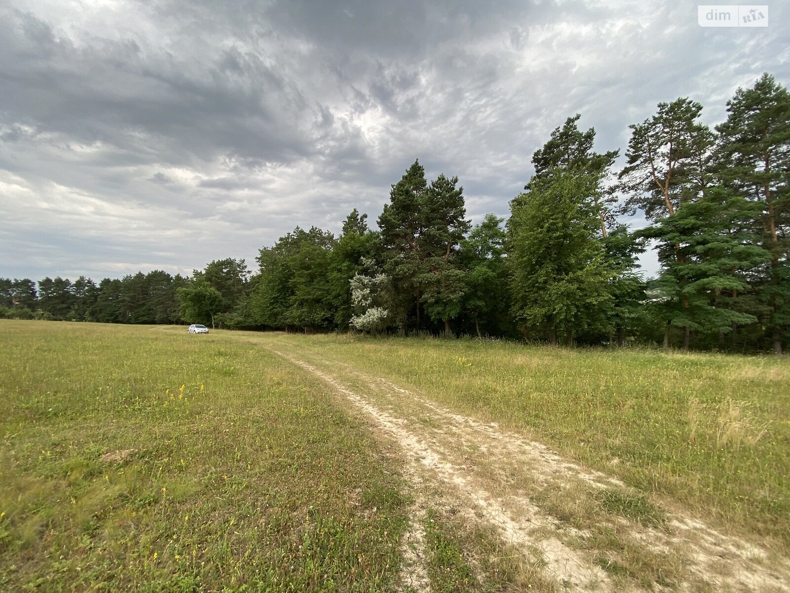 Земельна ділянка сільськогосподарського призначення в Стрижавці, площа 10 соток фото 1