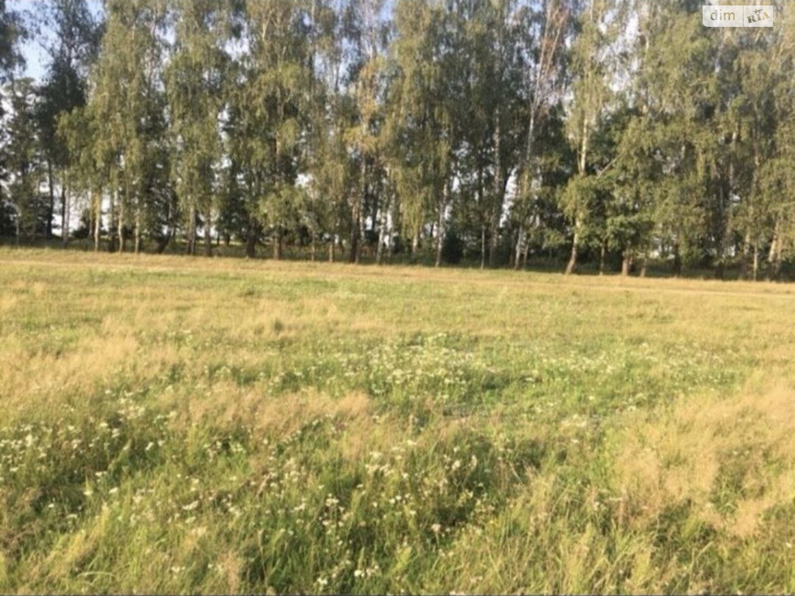 Земельный участок сельскохозяйственного назначения в Стрижавке, площадь 8 соток фото 1