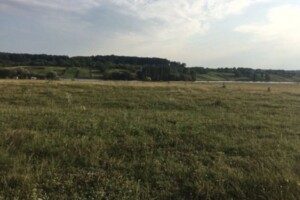 Земельный участок сельскохозяйственного назначения в Стрижавке, площадь 8 соток фото 2