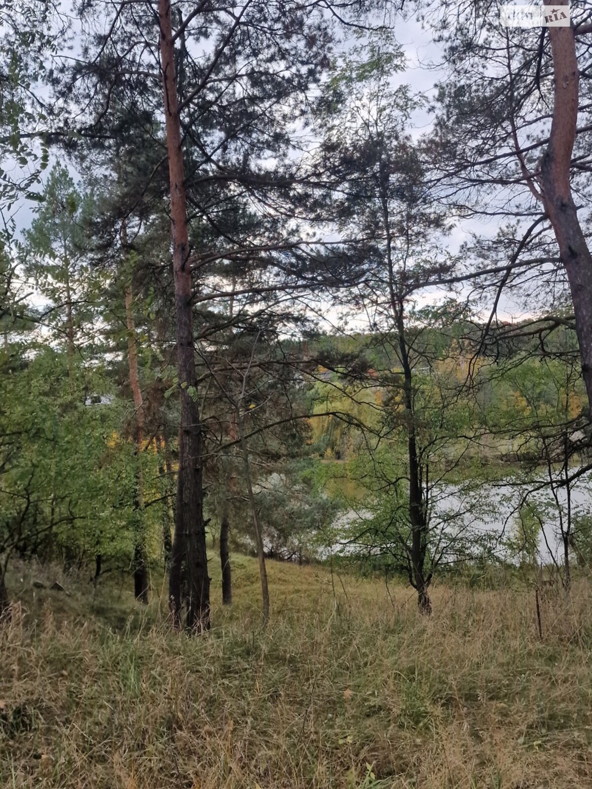 Земельный участок сельскохозяйственного назначения в Стрижавке, площадь 10 соток фото 1 Земельный участок сельскохозяйственного назначения в Стрижавке, площадь 10 соток фото 1