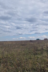 Земельный участок сельскохозяйственного назначения в Стрижавке, площадь 10 соток фото 2 Земельный участок сельскохозяйственного назначения в Стрижавке, площадь 10 соток фото 2