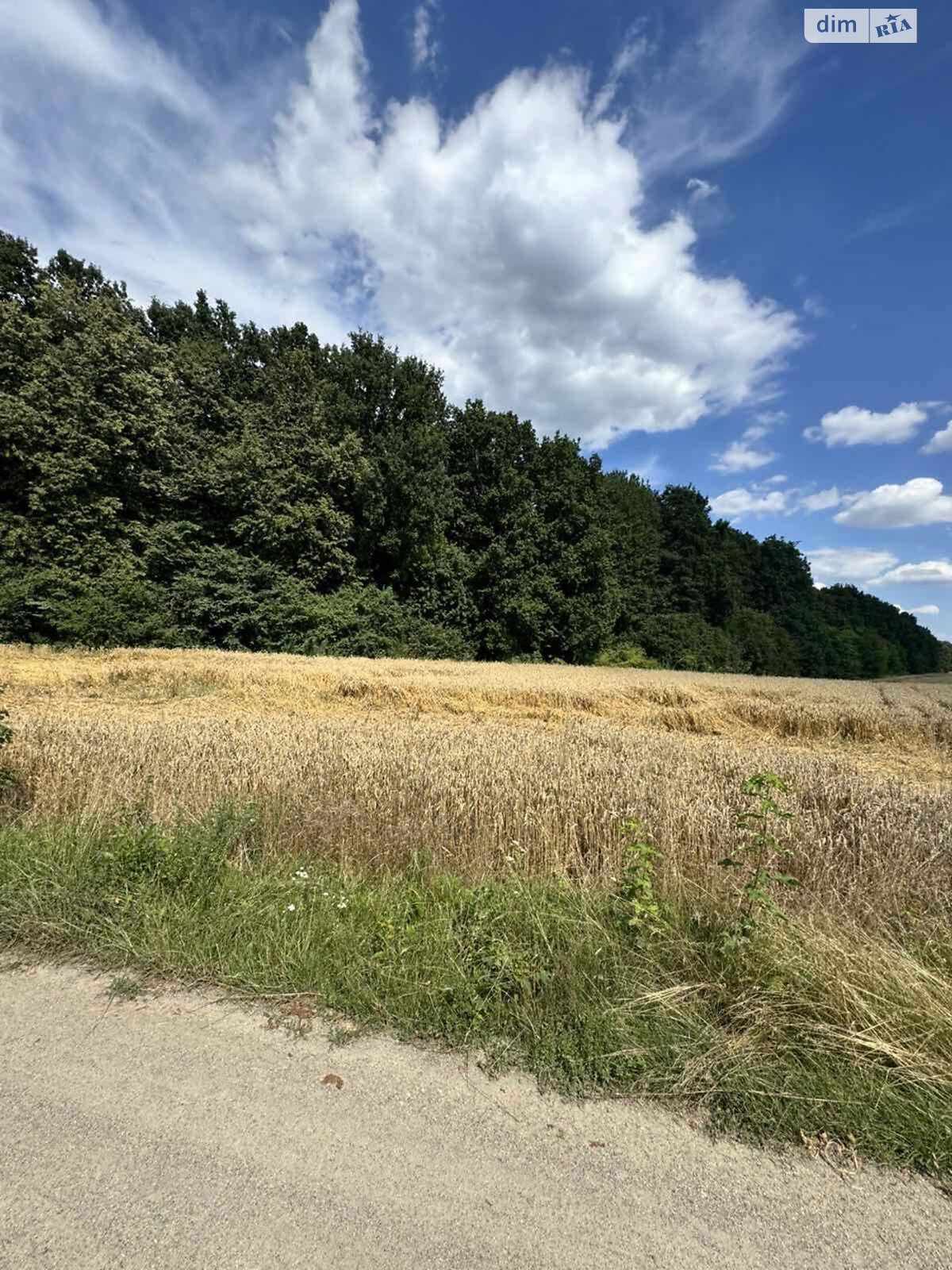 Земельный участок сельскохозяйственного назначения в Стрижавке, площадь 2 Га фото 1