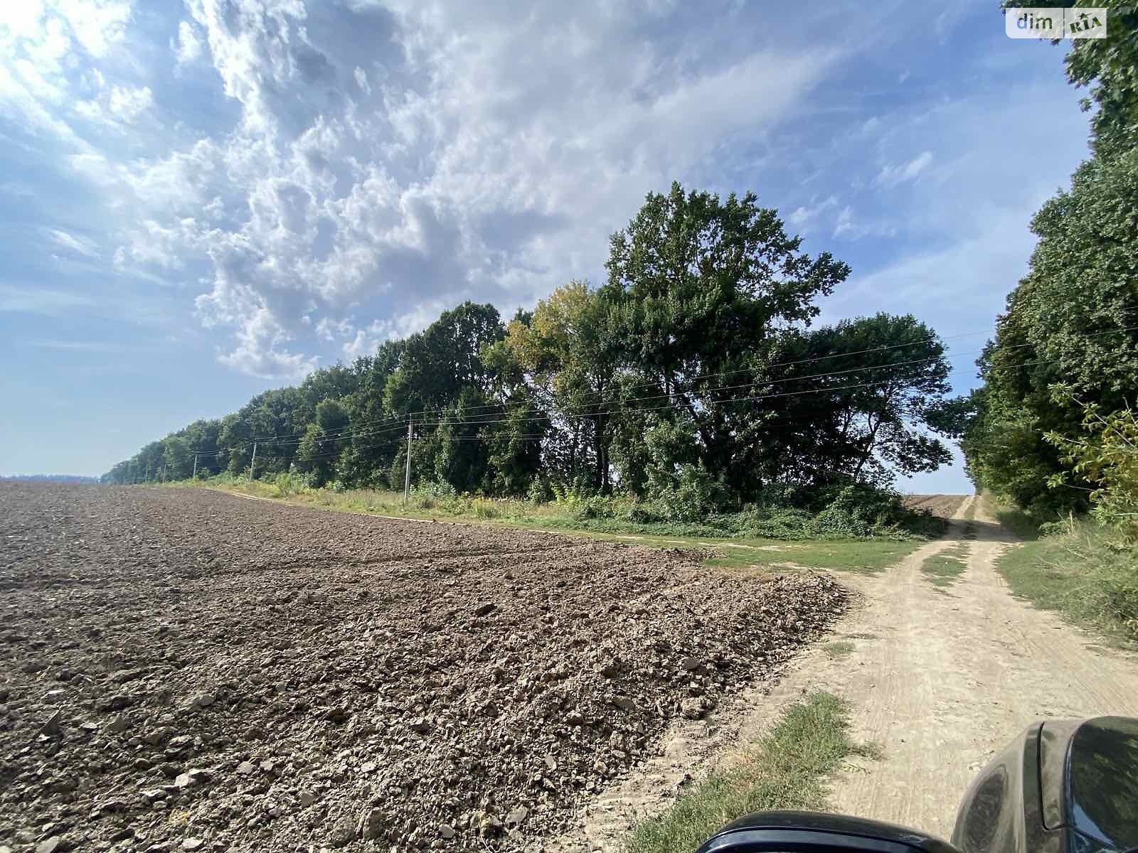 Земельный участок сельскохозяйственного назначения в Стрижавке, площадь 2 Га фото 1