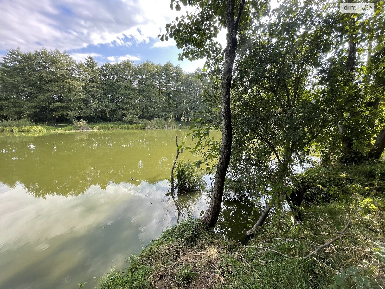 Земельный участок сельскохозяйственного назначения в Стрижавке, площадь 2 Га фото 1