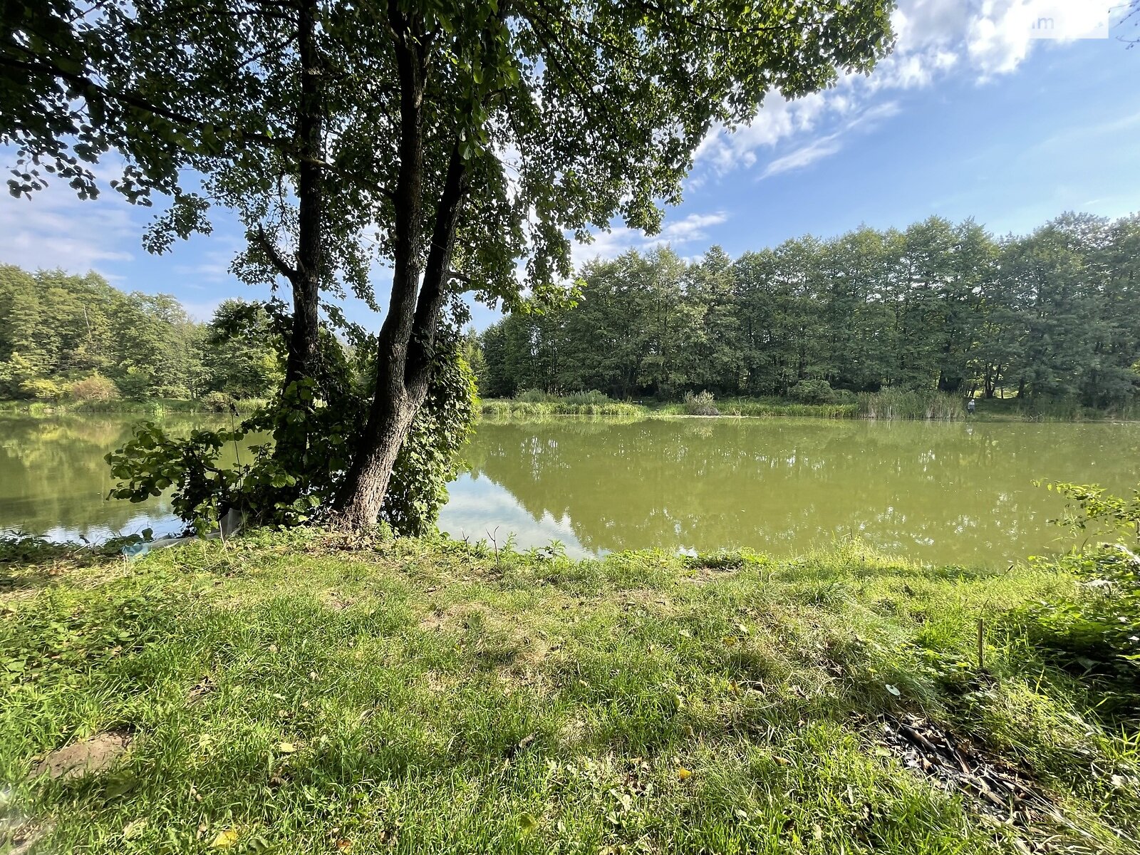 Земельный участок сельскохозяйственного назначения в Стрижавке, площадь 2 Га фото 1