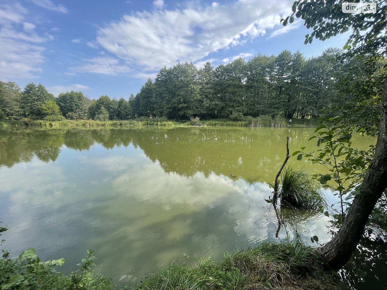 Земельный участок сельскохозяйственного назначения в Стрижавке, площадь 2 Га фото 1