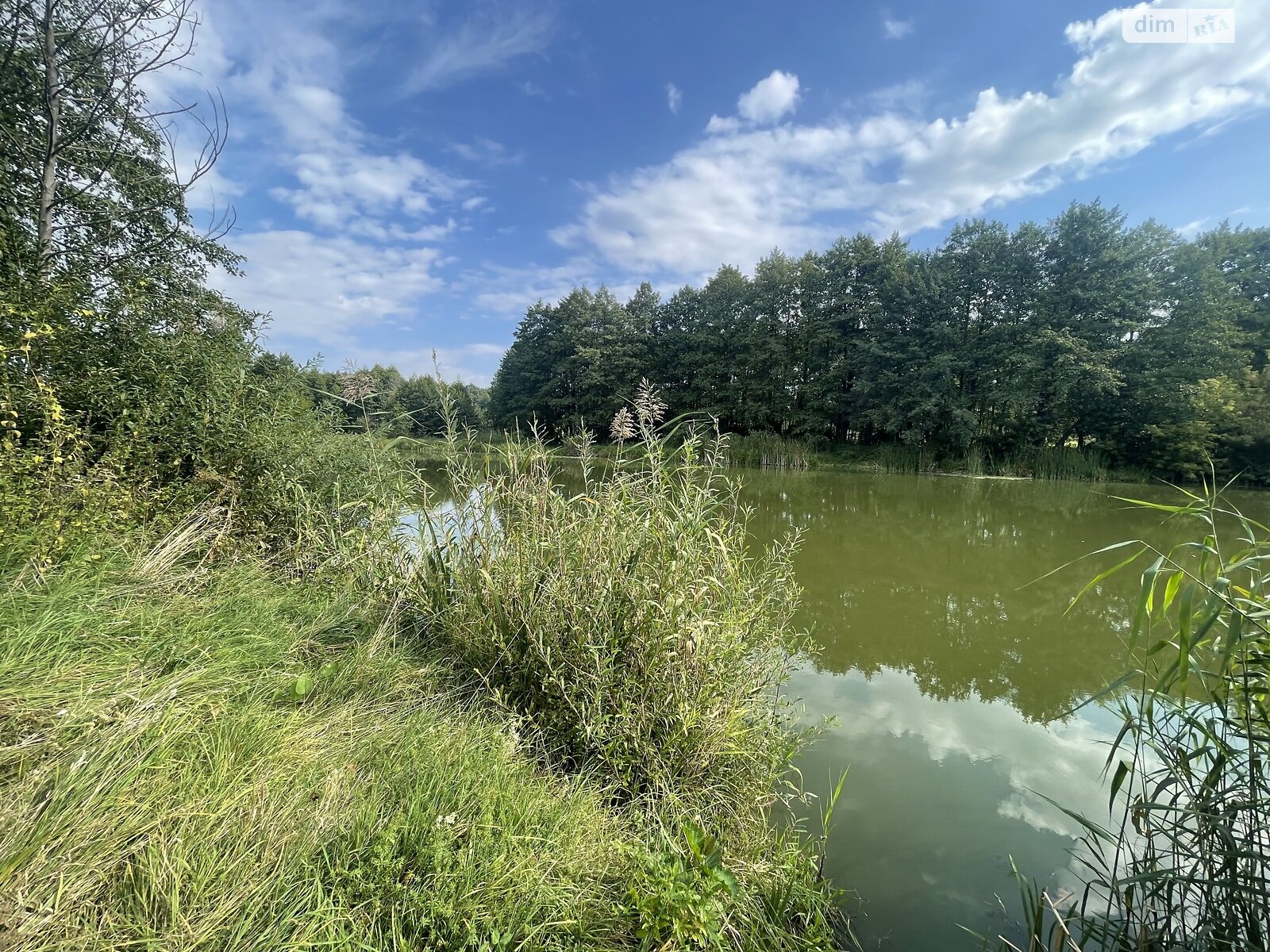 Земельный участок сельскохозяйственного назначения в Стрижавке, площадь 2 Га фото 1