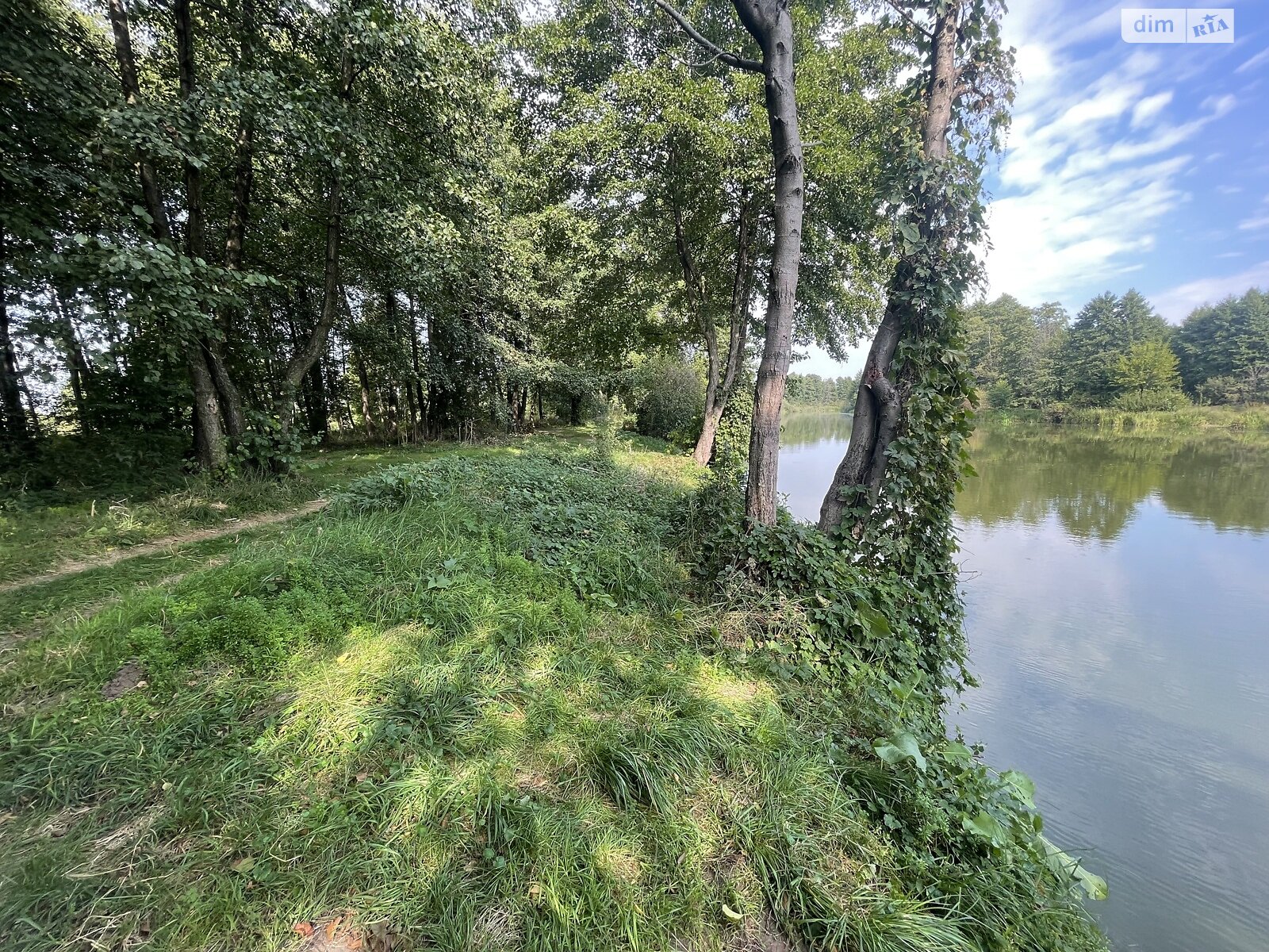 Земельный участок сельскохозяйственного назначения в Стрижавке, площадь 2 Га фото 1