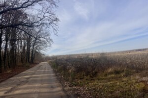 Земельный участок сельскохозяйственного назначения в Стрижавке, площадь 650 соток фото 2