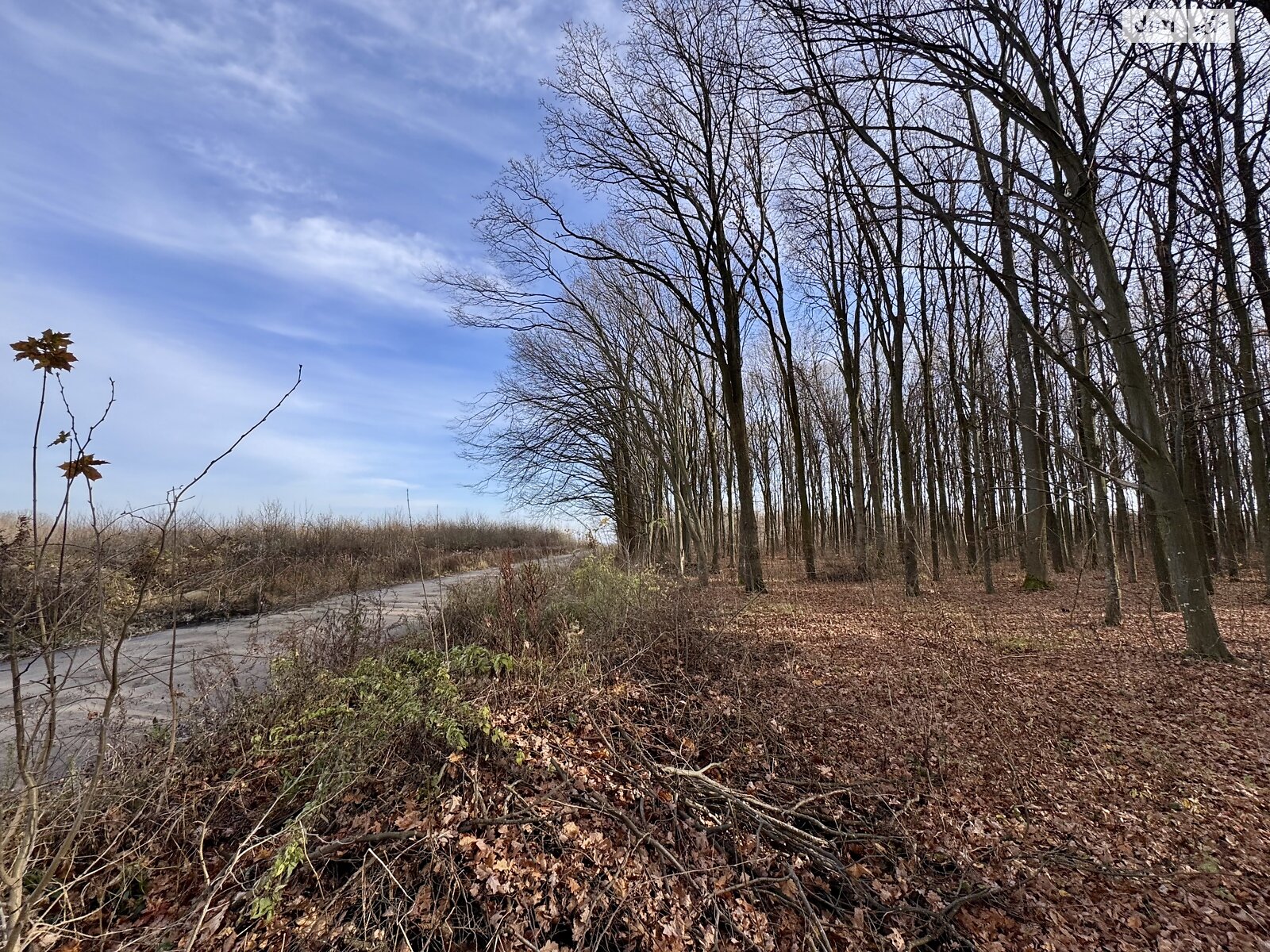 Земельный участок сельскохозяйственного назначения в Стрижавке, площадь 650 соток фото 1