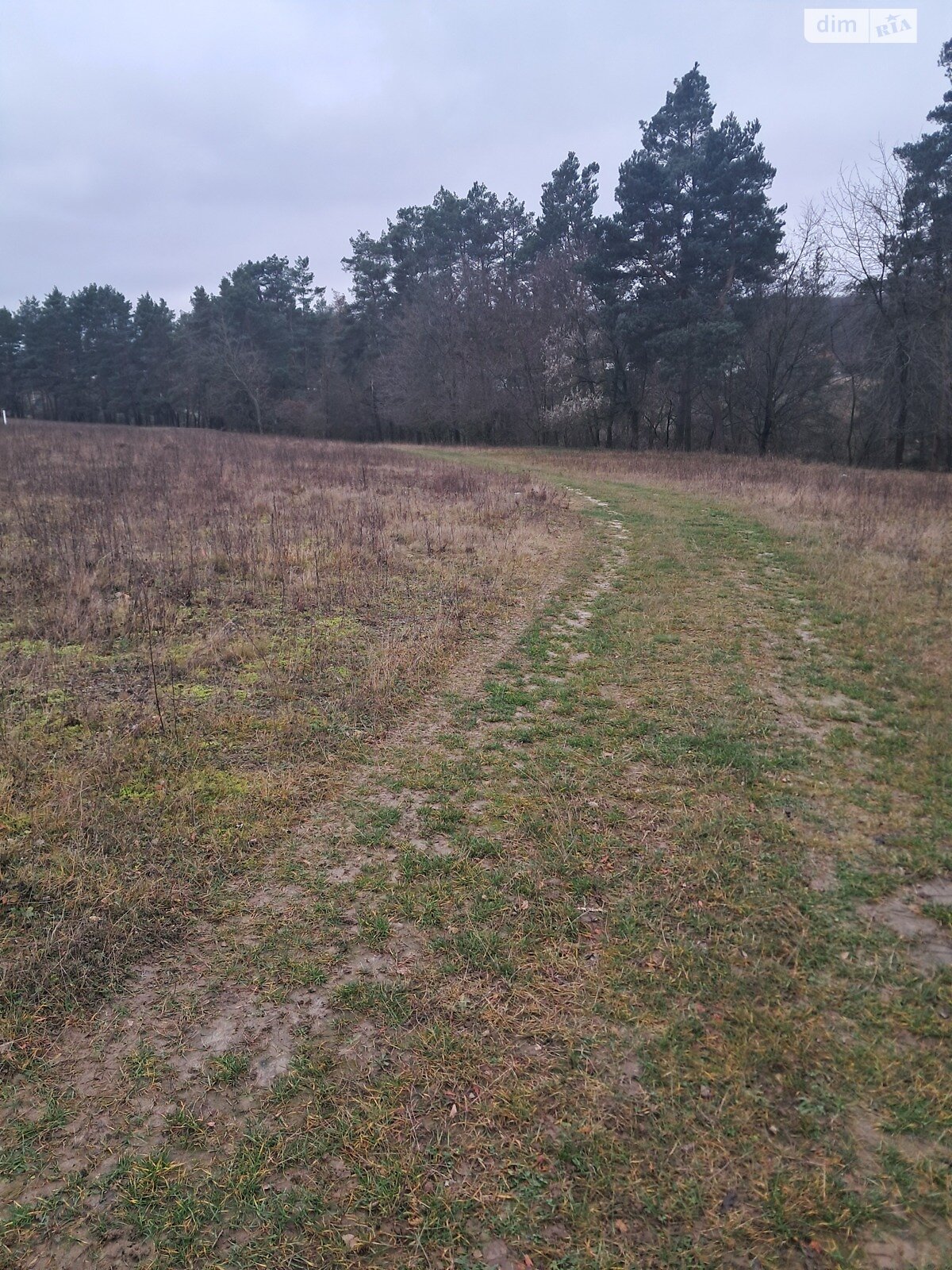 Земельный участок сельскохозяйственного назначения в Стрижавке, площадь 10 соток фото 1 Земельный участок сельскохозяйственного назначения в Стрижавке, площадь 10 соток фото 1