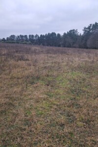 Земельный участок сельскохозяйственного назначения в Стрижавке, площадь 10 соток фото 2 Земельный участок сельскохозяйственного назначения в Стрижавке, площадь 10 соток фото 2