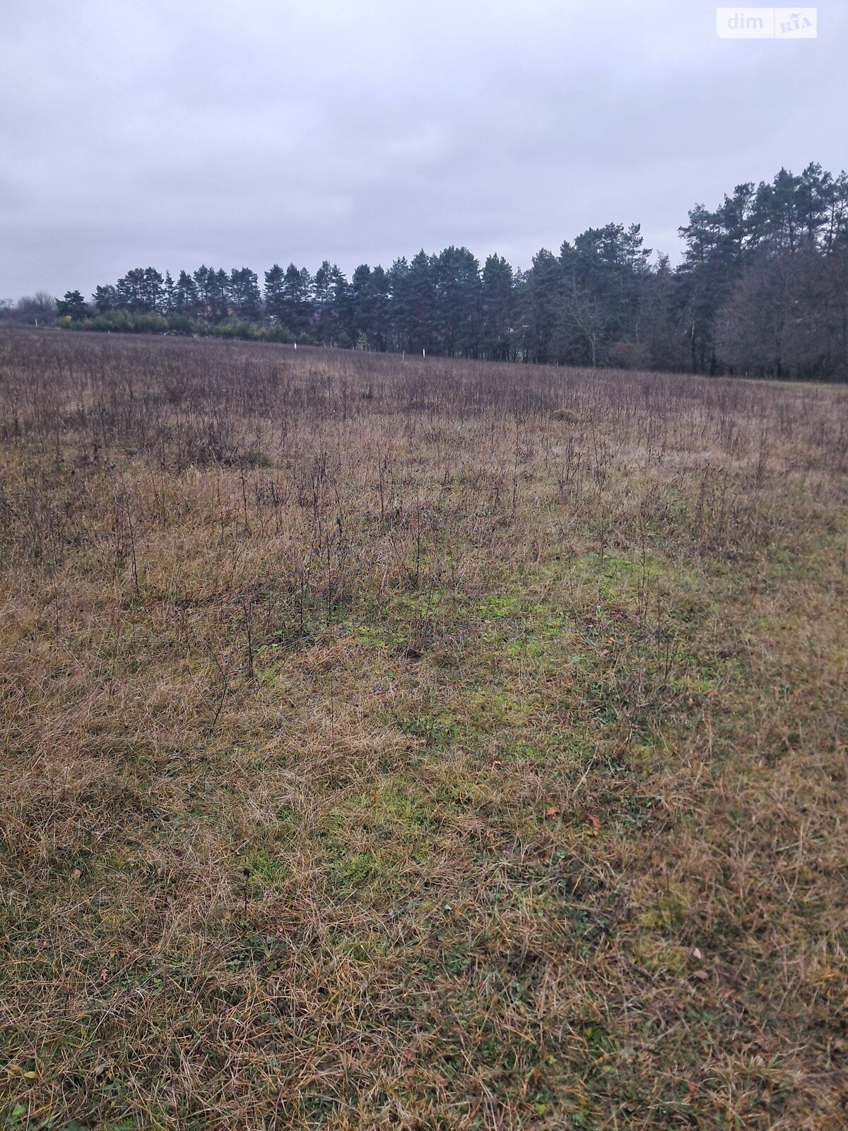 Земельный участок сельскохозяйственного назначения в Стрижавке, площадь 10 соток фото 1 Земельный участок сельскохозяйственного назначения в Стрижавке, площадь 10 соток фото 1