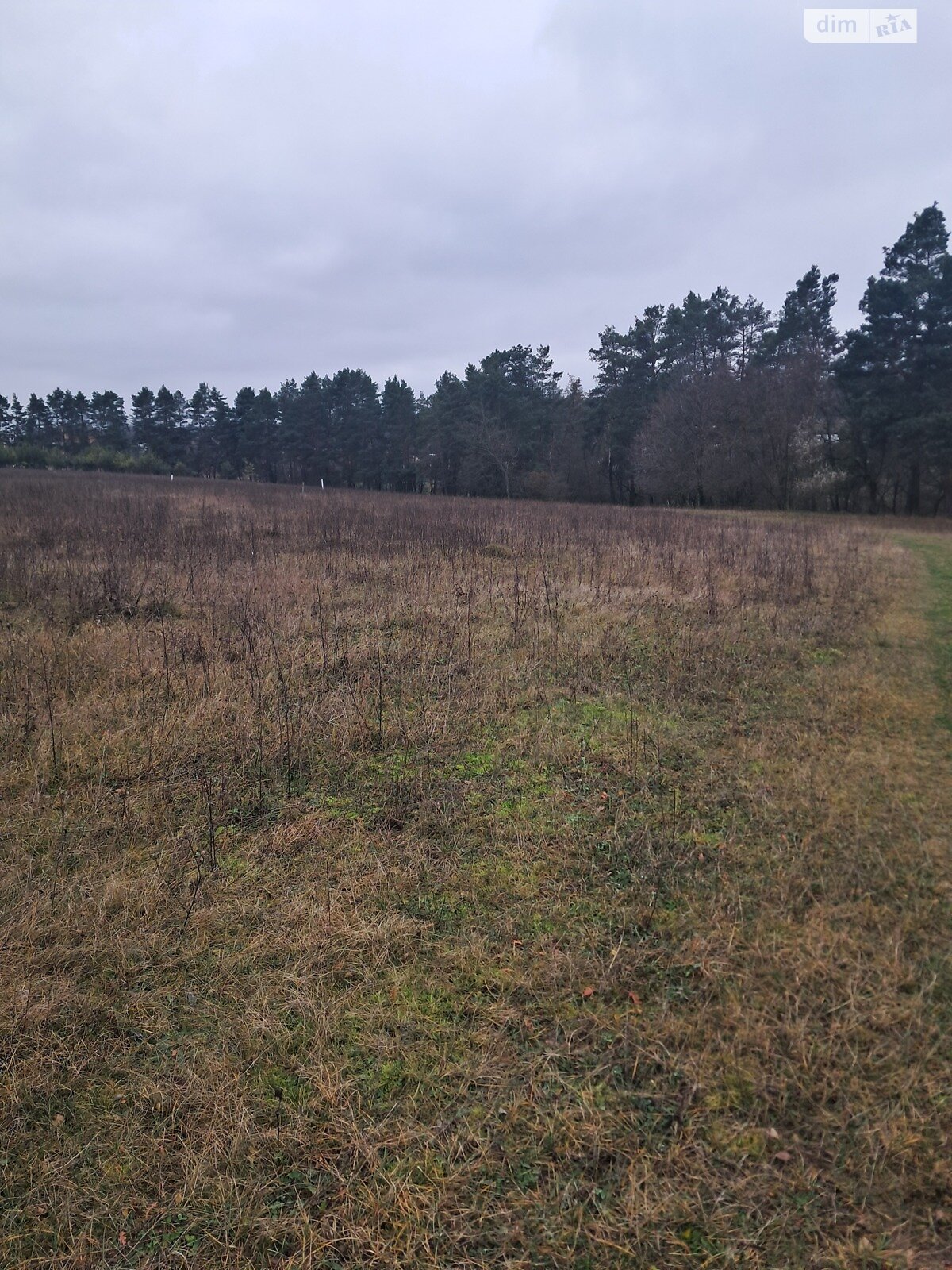 Земельный участок сельскохозяйственного назначения в Стрижавке, площадь 10 соток фото 1 Земельный участок сельскохозяйственного назначения в Стрижавке, площадь 10 соток фото 1
