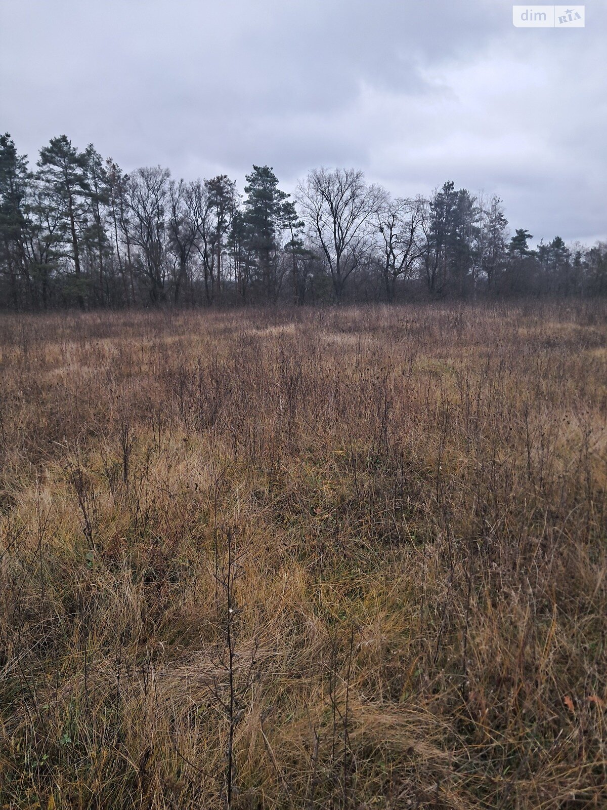 Земельный участок сельскохозяйственного назначения в Стрижавке, площадь 10 соток фото 1 Земельный участок сельскохозяйственного назначения в Стрижавке, площадь 10 соток фото 1