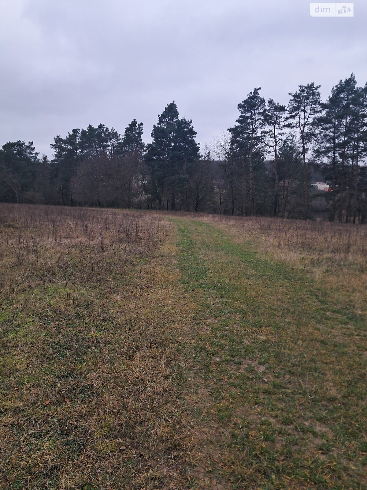 Земельный участок сельскохозяйственного назначения в Стрижавке, площадь 10 соток фото 1 Земельный участок сельскохозяйственного назначения в Стрижавке, площадь 10 соток фото 1