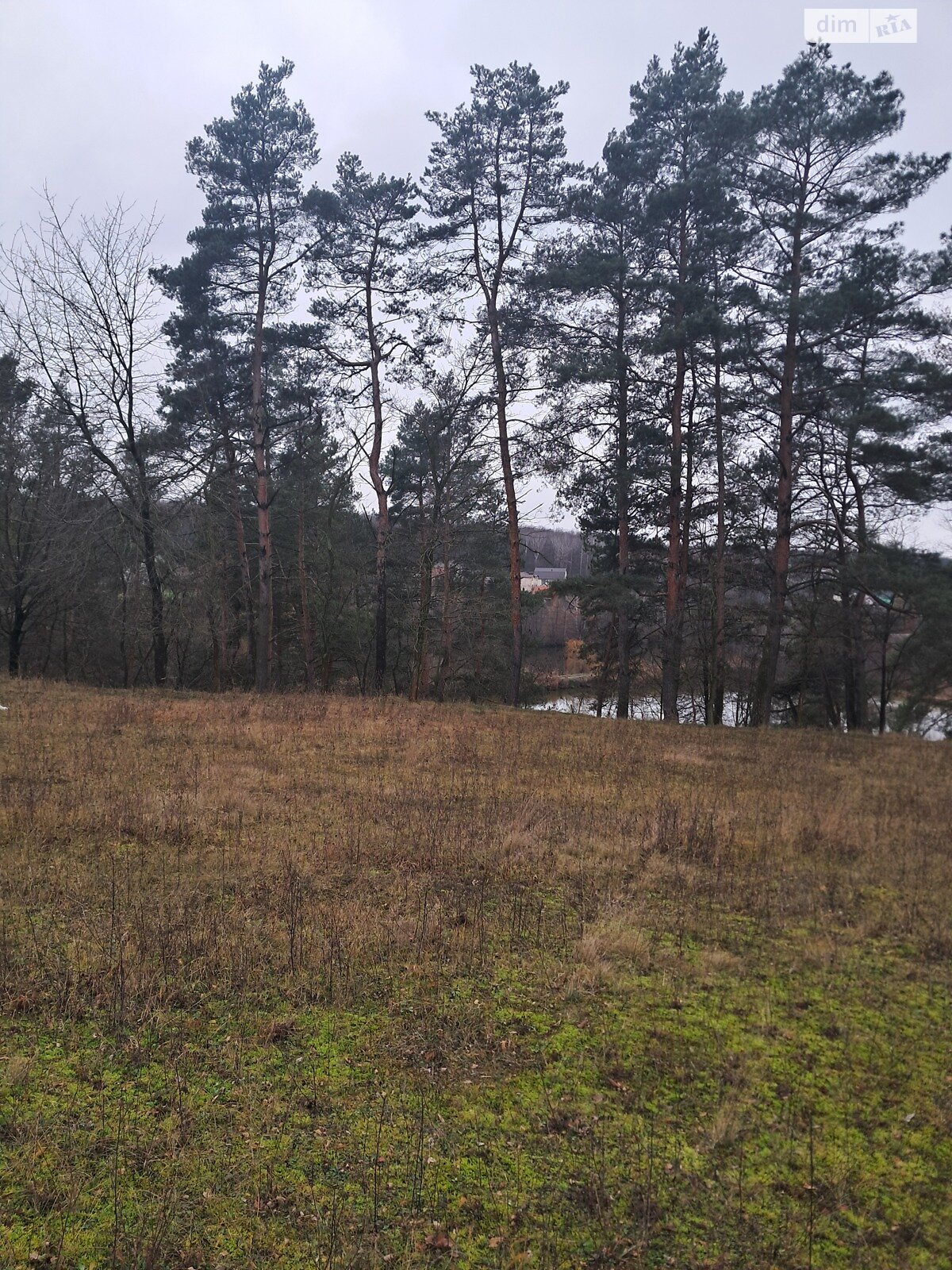 Земельный участок сельскохозяйственного назначения в Стрижавке, площадь 10 соток фото 1 Земельный участок сельскохозяйственного назначения в Стрижавке, площадь 10 соток фото 1