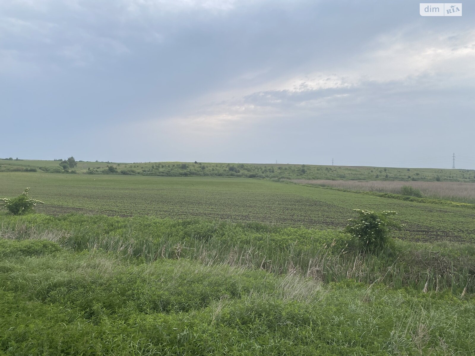 Земельна ділянка сільськогосподарського призначення в Стронятині, площа 1.98 Га фото 1