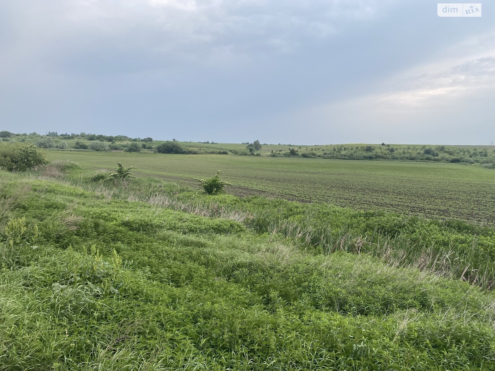 Земельна ділянка сільськогосподарського призначення в Стронятині, площа 1.98 Га фото 1