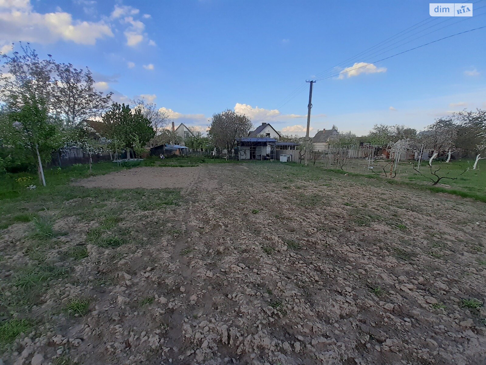 Земельна ділянка сільськогосподарського призначення в Струмівці, площа 9 соток фото 1