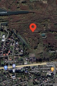 Земельна ділянка сільськогосподарського призначення в Струмівці, площа 24 сотки фото 2