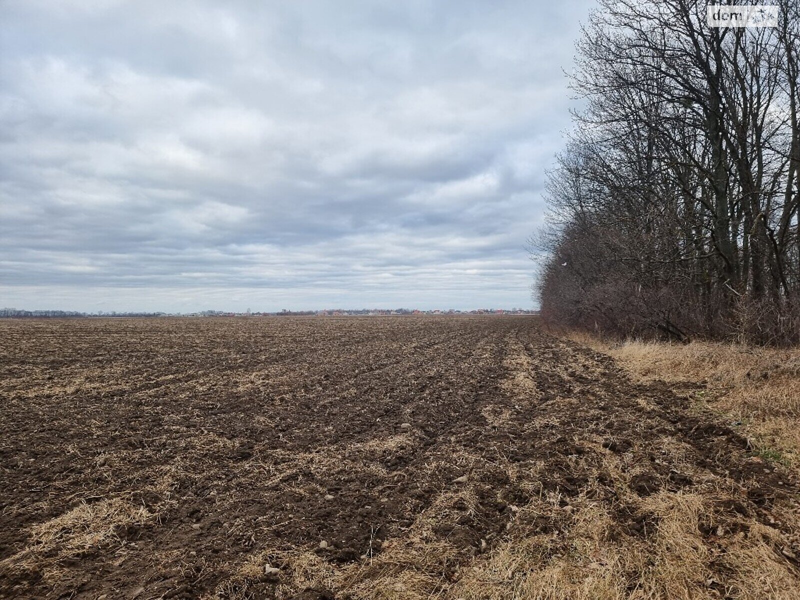 Земельна ділянка сільськогосподарського призначення в Дулібах, площа 65 соток фото 1