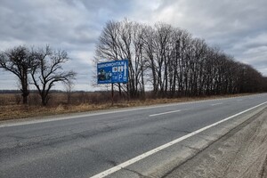 Земельна ділянка сільськогосподарського призначення в Дулібах, площа 65 соток фото 2