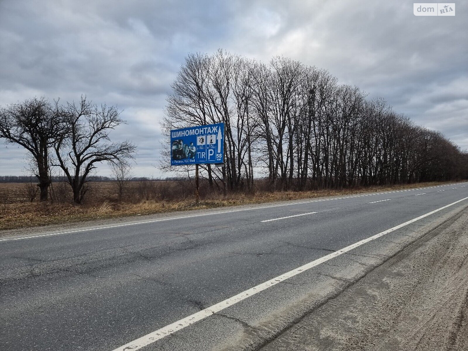 Земельна ділянка сільськогосподарського призначення в Дулібах, площа 65 соток фото 1