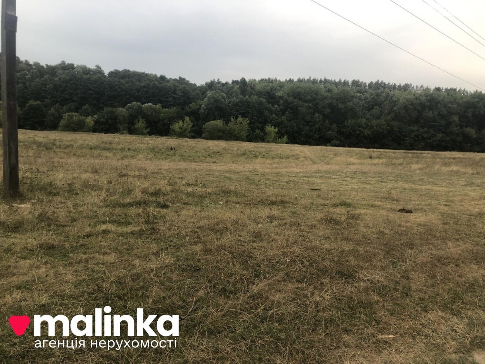 Земельна ділянка сільськогосподарського призначення в Стрию, площа 192 сотки фото 1 Земельна ділянка сільськогосподарського призначення в Стрию, площа 192 сотки фото 1