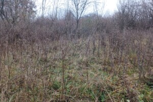 Земельный участок сельскохозяйственного назначения в Стуфчинцах, площадь 21.24 сотки фото 2