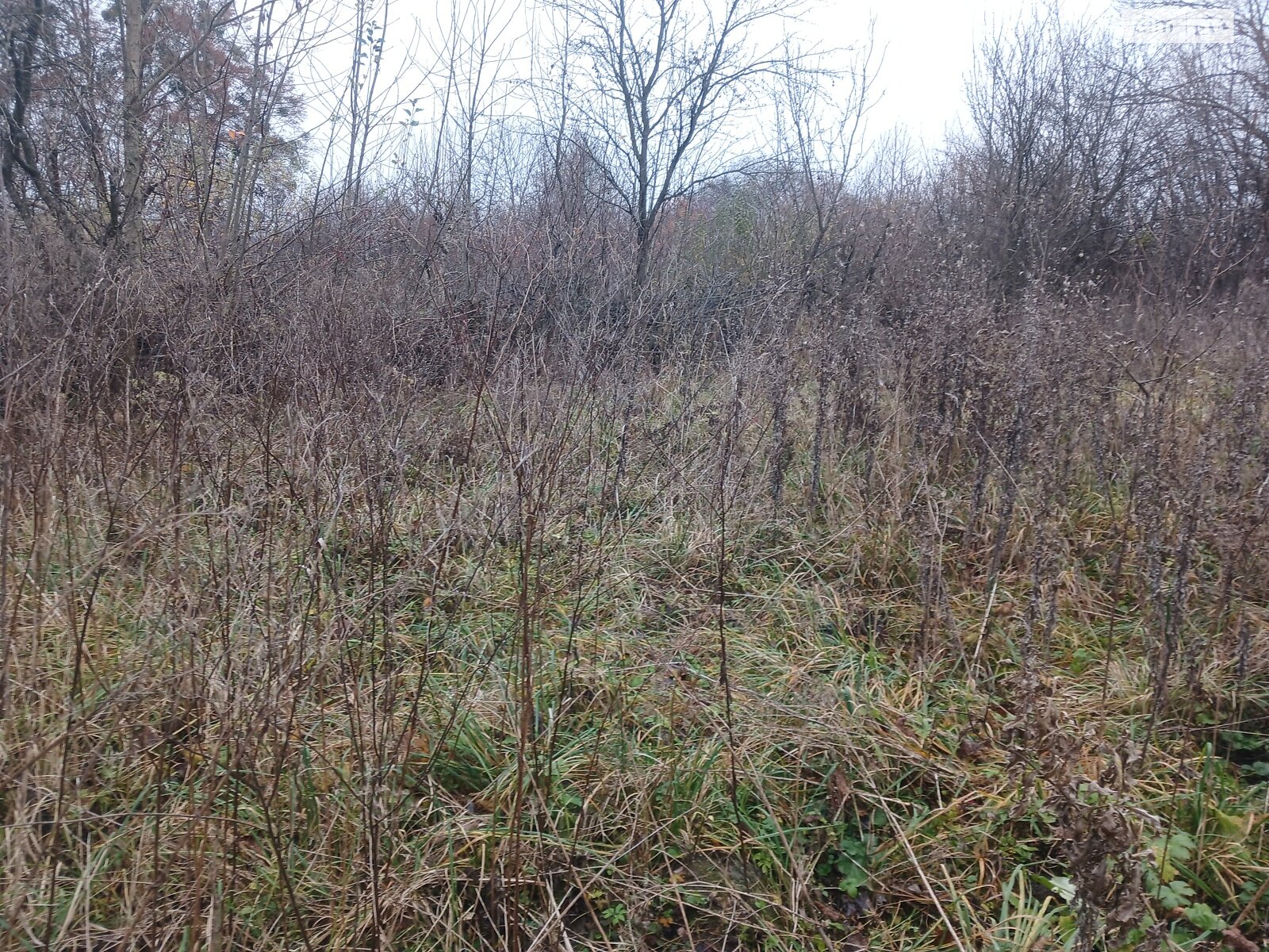 Земельный участок сельскохозяйственного назначения в Стуфчинцах, площадь 21.24 сотки фото 1