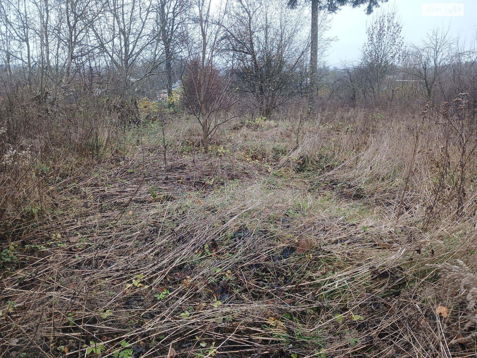 Земельный участок сельскохозяйственного назначения в Стуфчинцах, площадь 21.24 сотки фото 1