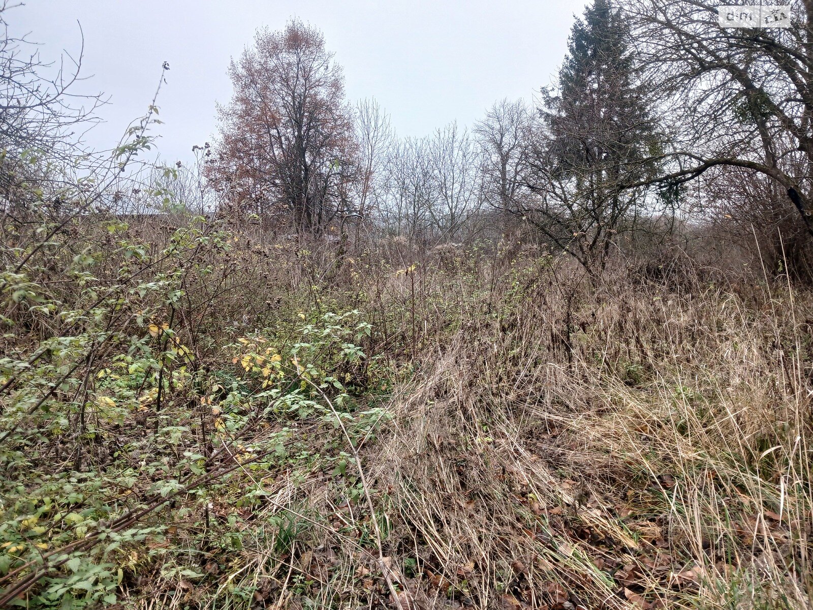 Земельный участок сельскохозяйственного назначения в Стуфчинцах, площадь 21.24 сотки фото 1