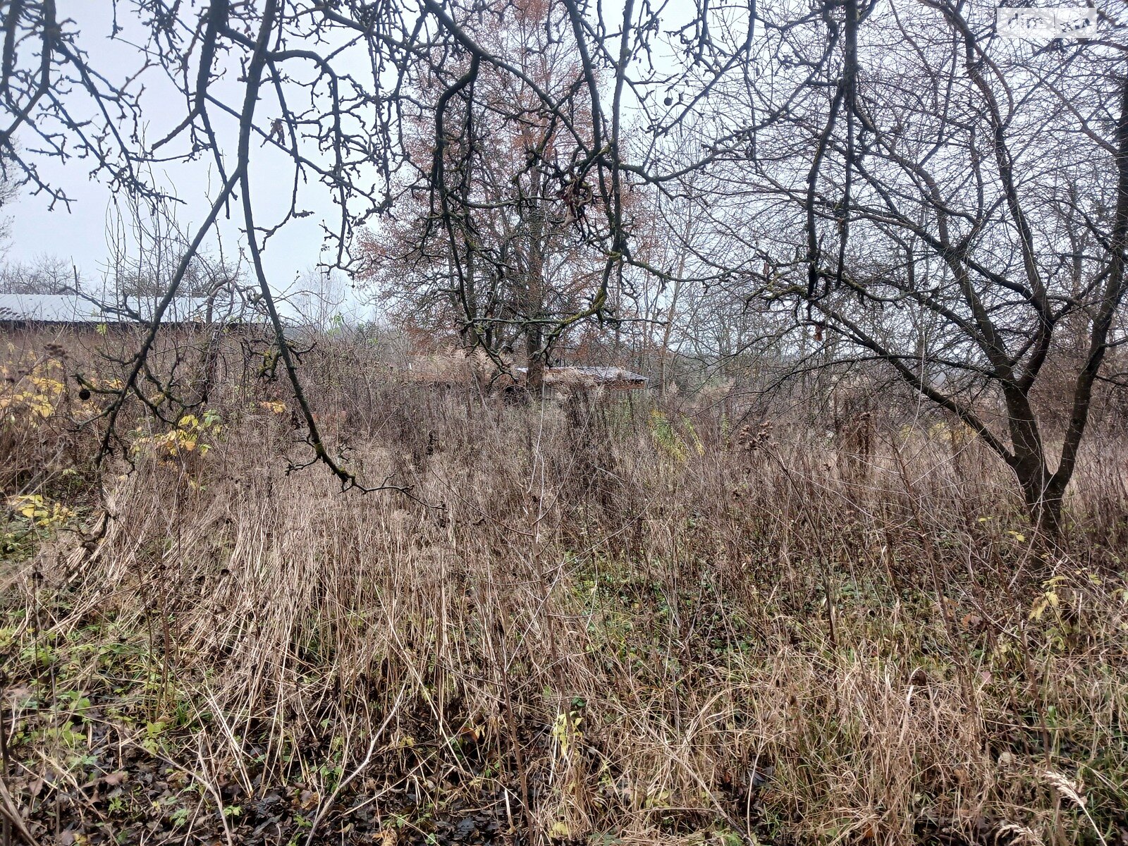 Земельный участок сельскохозяйственного назначения в Стуфчинцах, площадь 21.24 сотки фото 1