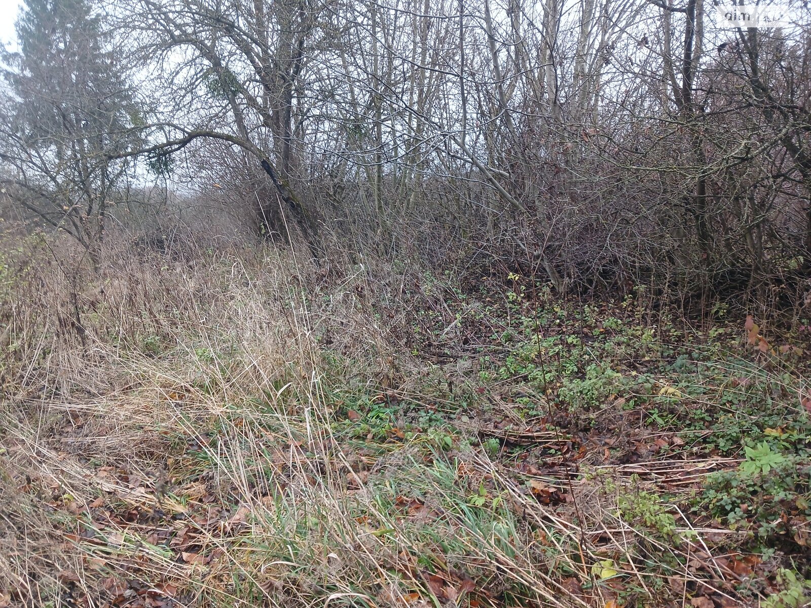 Земельный участок сельскохозяйственного назначения в Стуфчинцах, площадь 21.24 сотки фото 1