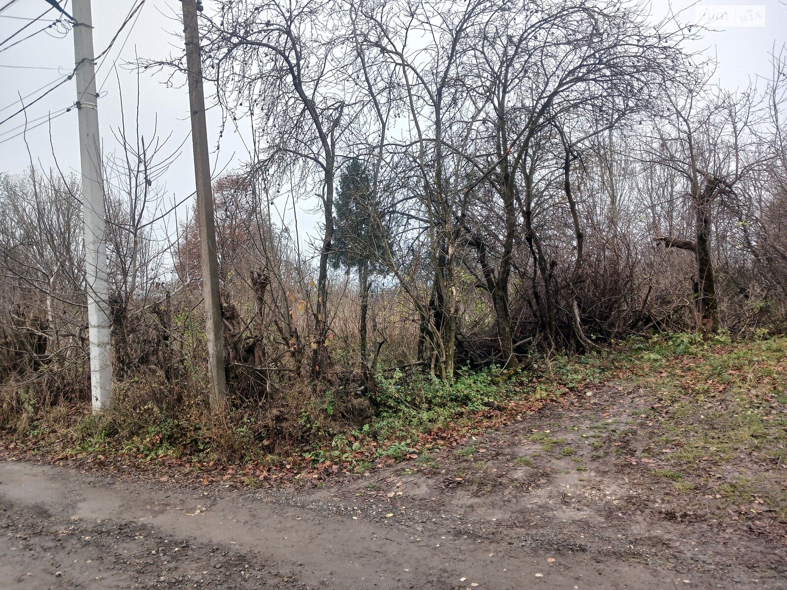 Земельный участок сельскохозяйственного назначения в Стуфчинцах, площадь 21.24 сотки фото 1